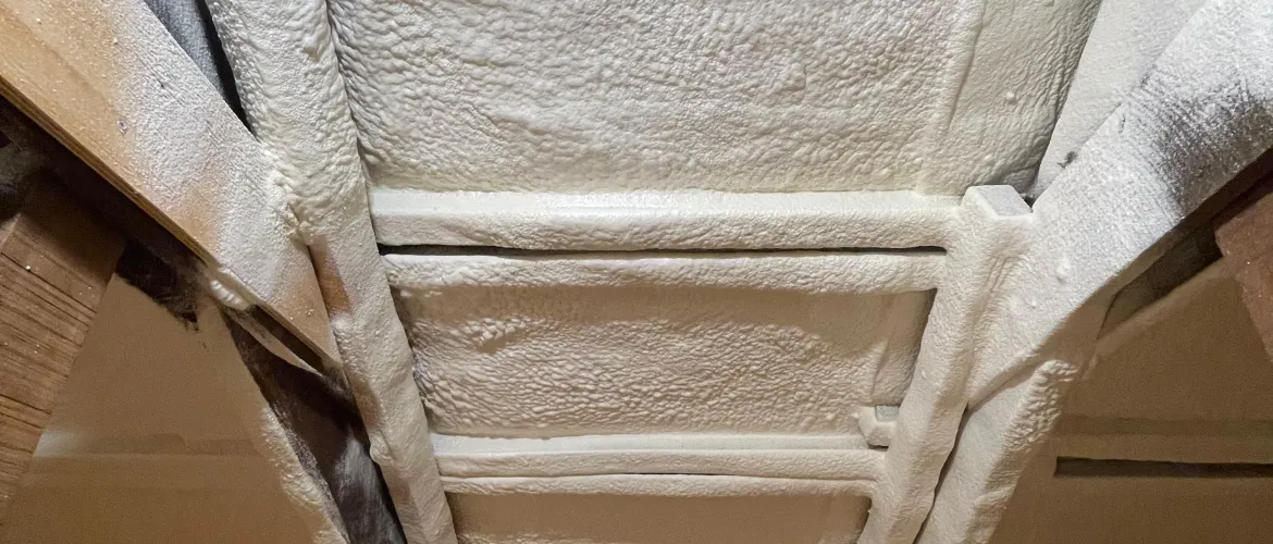 Poliuretano Proyectado cubierta Entre Techo