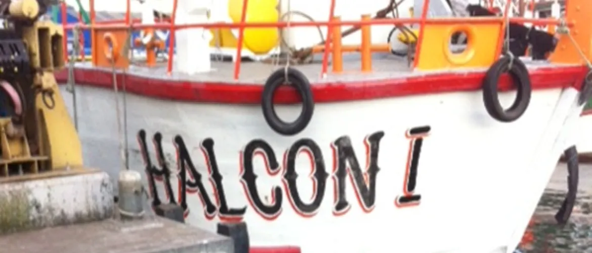 Bodegas Embarcaciones