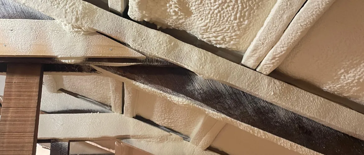 Poliuretano Proyectado cubierta Entre Techo