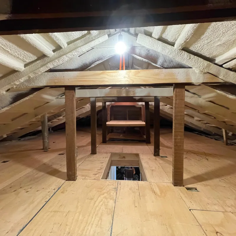 Poliuretano Proyectado cubierta Entre Techo